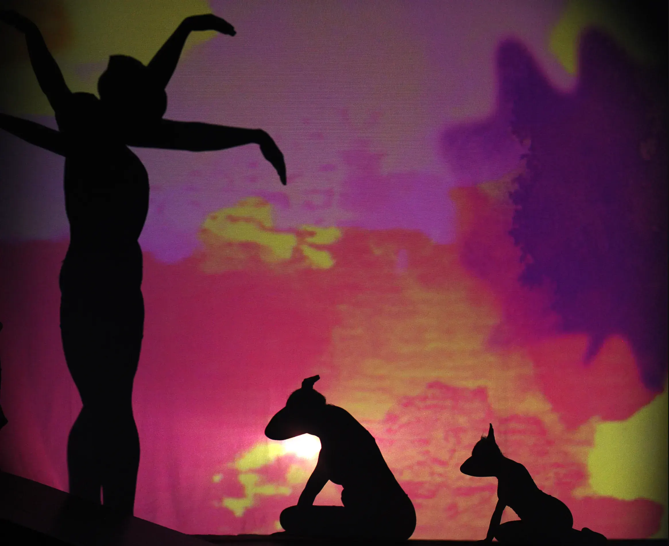 Silhouetted performers and animals in Elizabeth McKoy’s shadow-dance staging of A Little Princess.